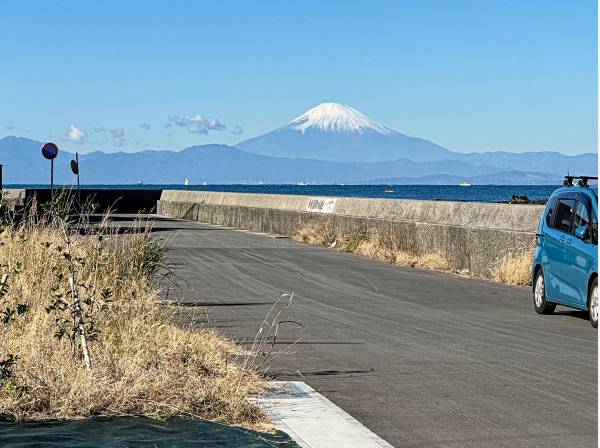 現地からは美しい富士山も望みます