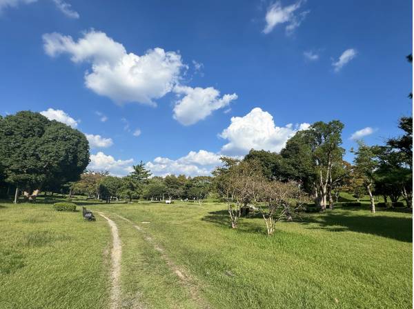 石原谷公園まで徒歩4分（約230ｍ）