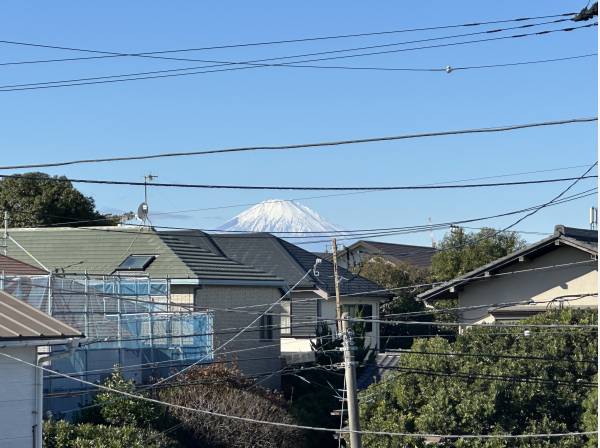 富士山を望みます