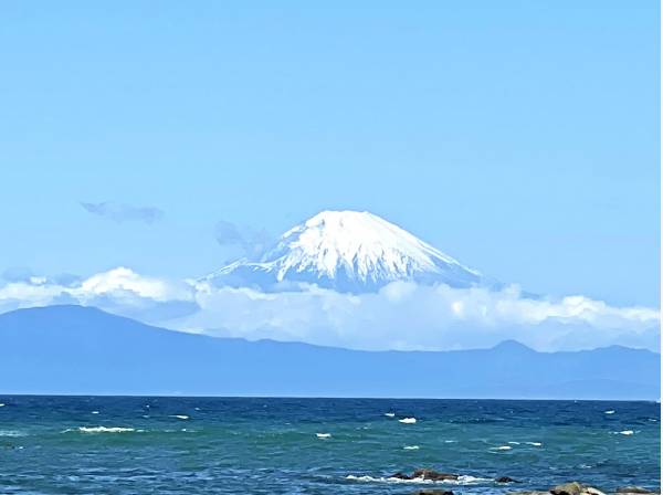 空気が澄んだ日には江の島や富士山も望めます