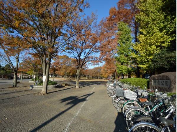 茅ヶ崎中央公園まで徒歩4分（約250m）