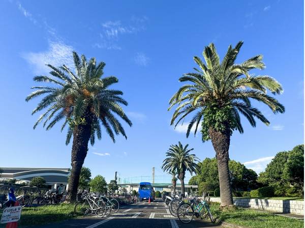 鵠沼運動公園まで徒歩1分（約80m）