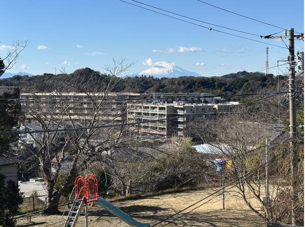 富士山もしっかり望みます