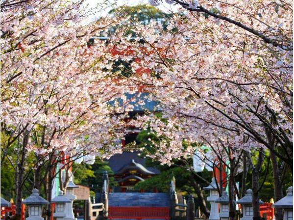 古都鎌倉に住まう喜びを(イメージ)