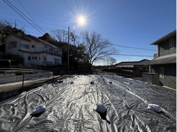 南東角地につきご覧の通りの陽当りの良さ