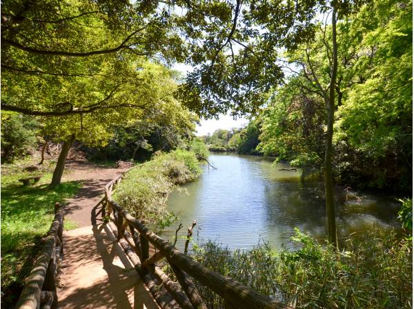 久木大池公園まで徒歩6分（約430m）