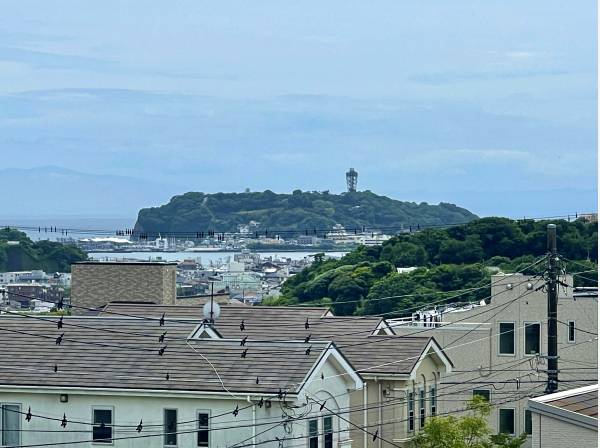 江の島シーキャンドルを望む