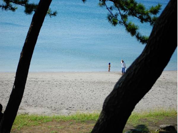 大浜海岸　(35分約2,800m)