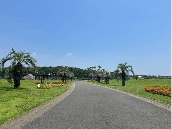 辻堂海浜公園まで徒歩12分（約900m）