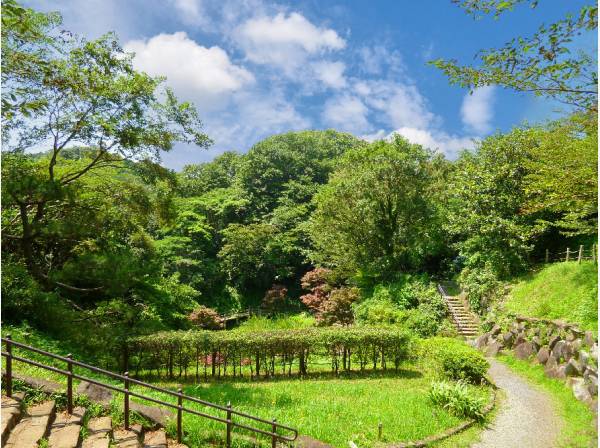 鎌倉中央公園約310ｍ