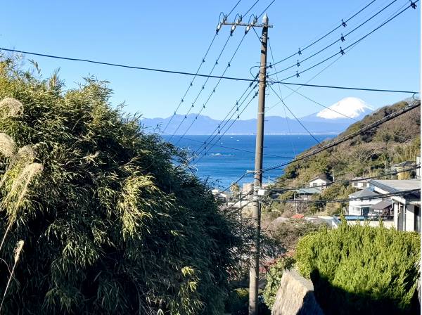 海と富士山が見えました