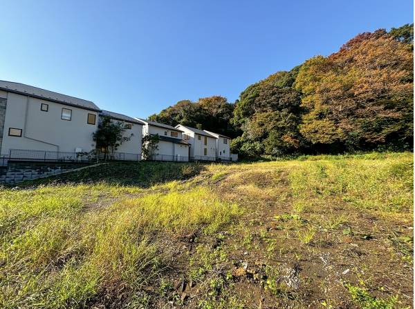 周辺は閑静な低層住宅街で穏やかに時間が流れます