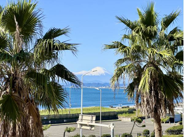 富士山もしっかりと見えます！