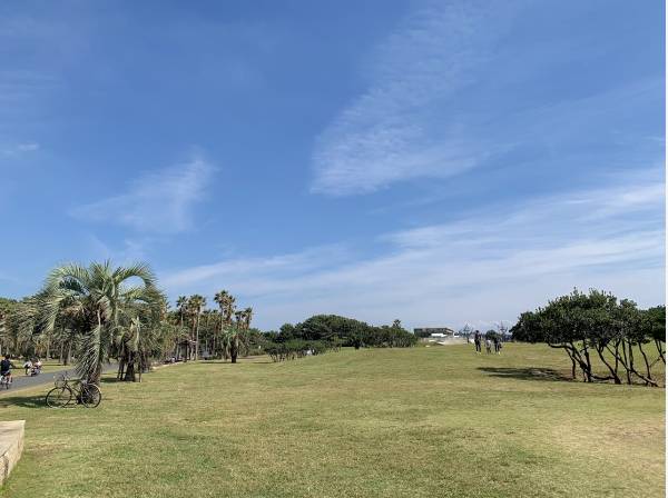 辻堂海浜公園まで徒歩9分 (約650ｍ)