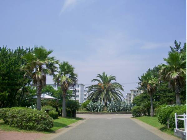 辻堂海浜公園まで約１２００ｍ