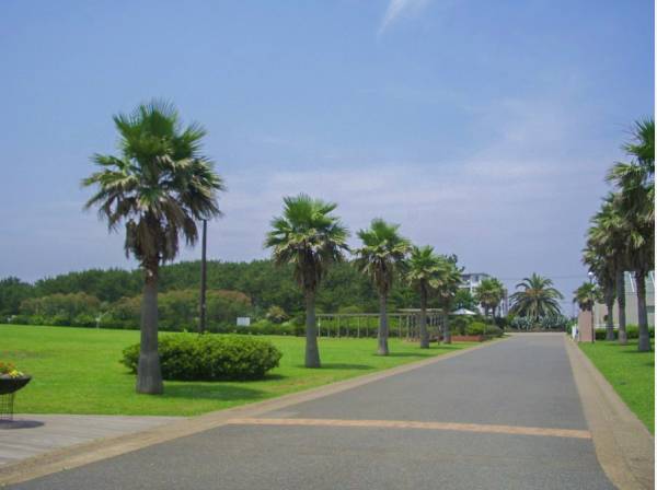 辻堂海浜公園 徒歩25分(約2km)