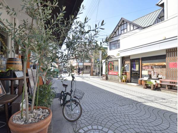 御成通りの商店街　約３００ｍ