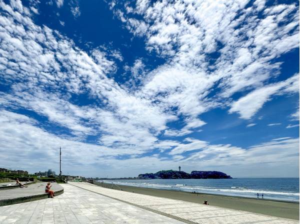 湘南海岸公園まで徒歩1分（約60ｍ）