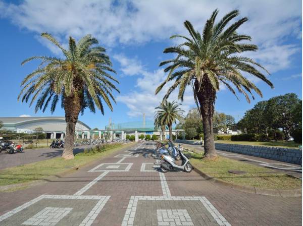 鵠沼運動公園（八部公園）まで徒歩3分（約240ｍ）