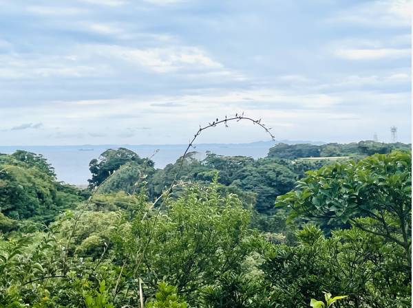 目の前に広がる壮大な景色