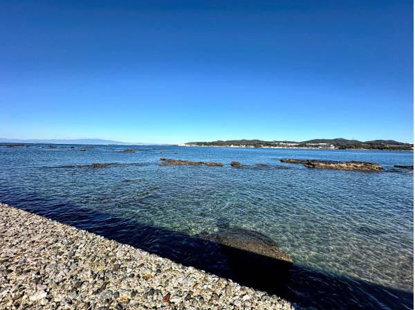 潮が引くと目の前の海では磯遊びなどもできそうです♪