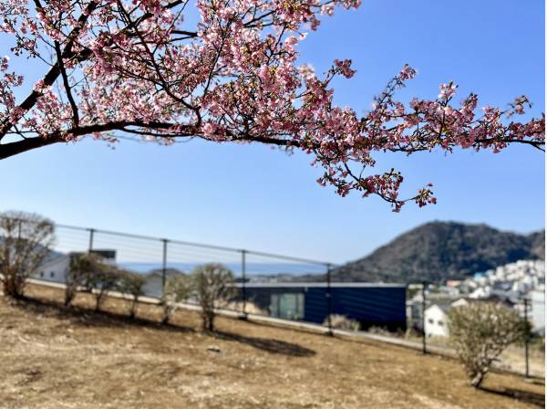 歩いて２分には海を望む広い公園も(約130ｍ)