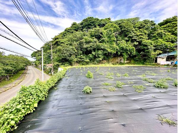 緑も多く、本当に自然豊かな立地条件です