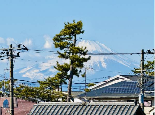 西側に富士山を望みます。