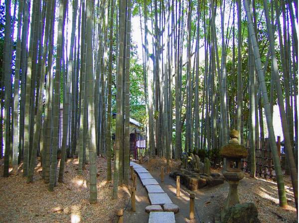 報国寺（竹寺）約2050ｍ