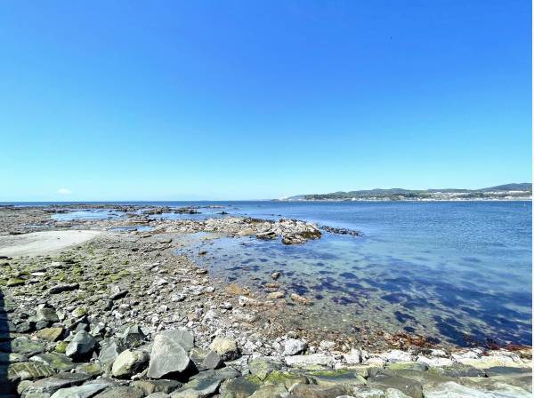 釣りなどを愉しめる海まで徒歩1分 (約50ｍ)