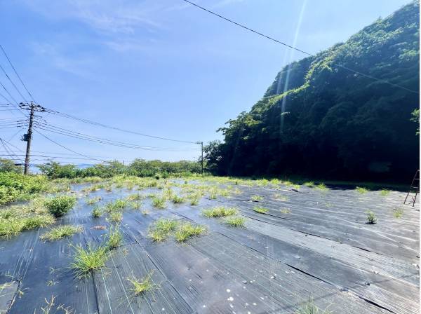 緑も臨む広大な敷地！