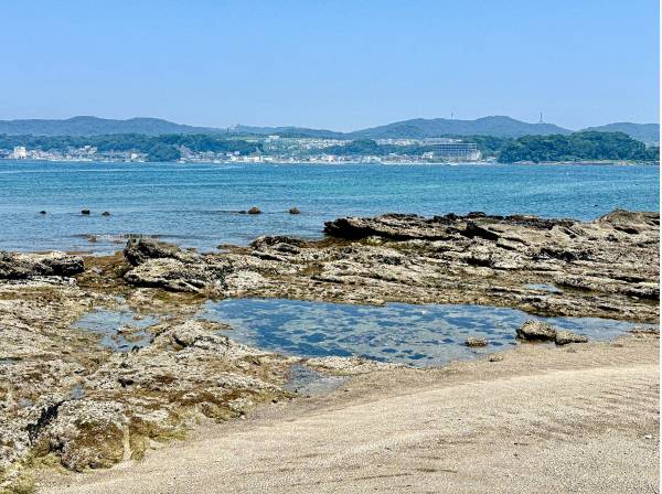 目の前の海では磯遊びなどもできそうです♪