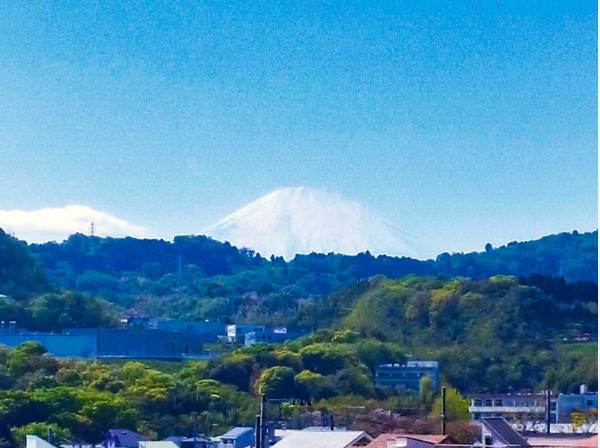 空気の澄んだ天気の良い日は、室内からこのように富士山も望みます