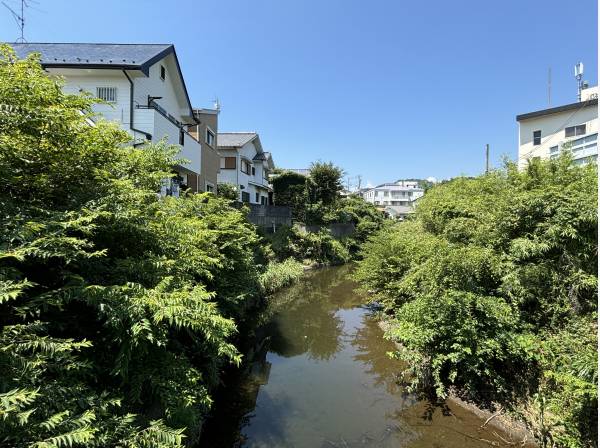 北側には穏やかな葛川が流れて、穏やかな雰囲気も