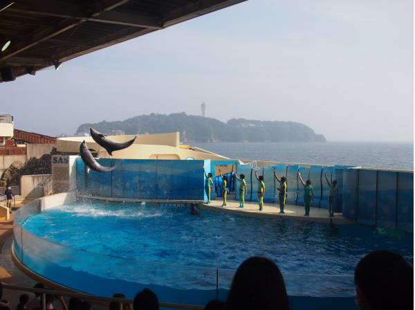 新江ノ島水族館まで約450m、徒歩約6分