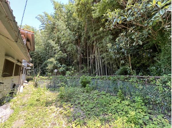 竹林側のプライベート感のあるお庭