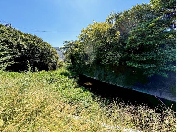 敷地裏手には小川も流れています