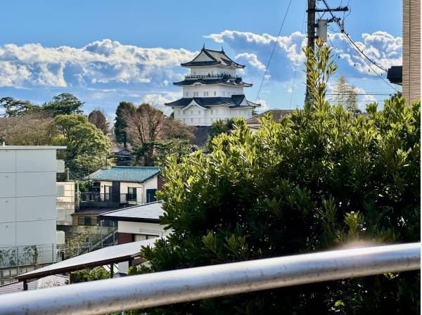 小田原城もこの通り