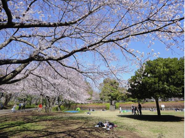 大庭城址公園 徒歩2分(約160m)