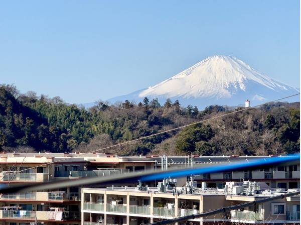 富士山はご覧の迫力で見ました