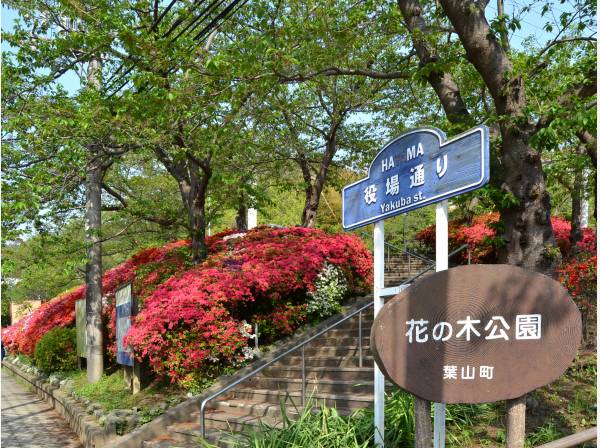 葉山花の木公園まで徒歩3分（約240m）