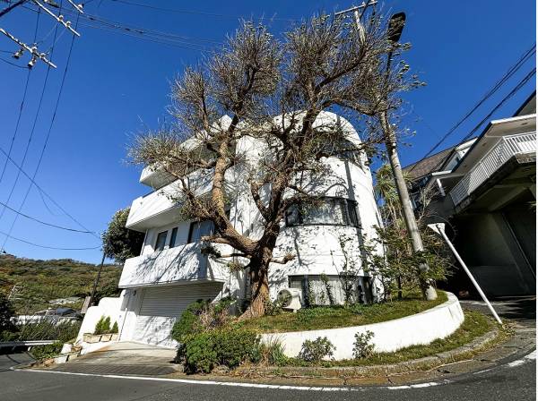 角地のため陽当たり風通しも良好！
