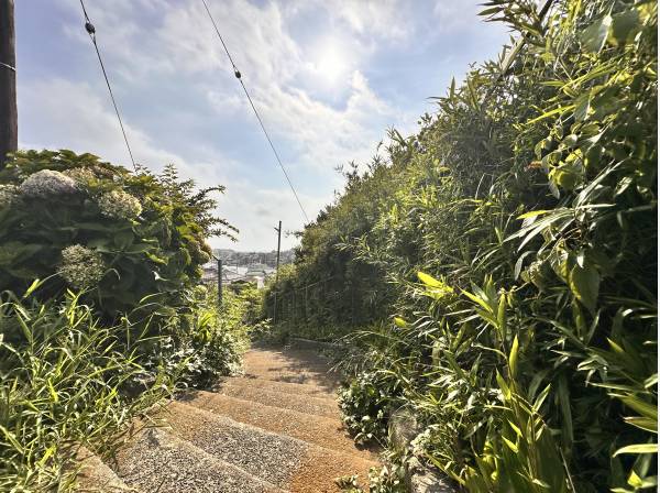 現地横の小路から海に下ることが出来ます。