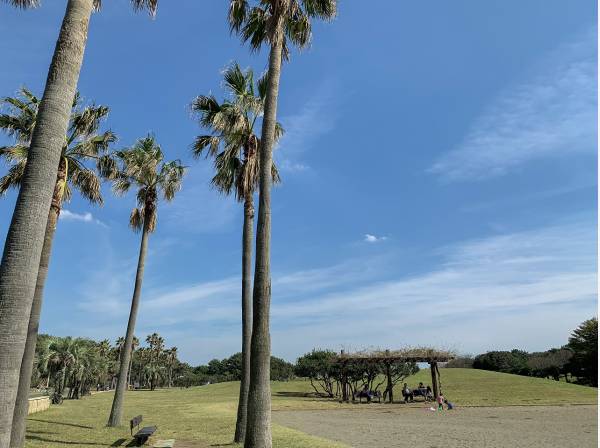 辻堂海浜公園まで徒歩10分(約800m)