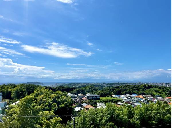 現地からの眺望です。富士山と海を眺める生活をお楽しみください。